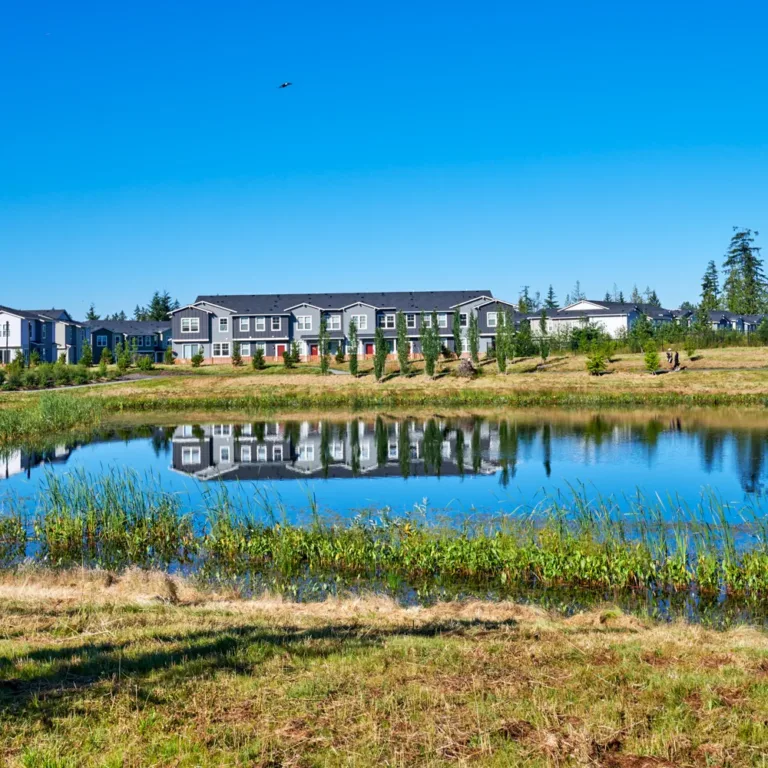 Row of modern townhouses reflected in a calm pond, bordered by reeds and grass under a clear blue sky.