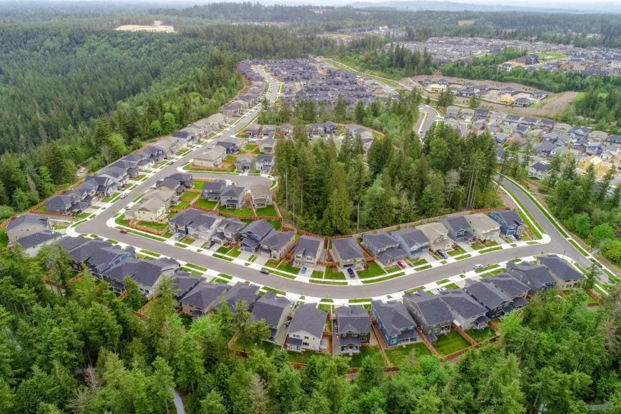 Aerial view of a suburban housing development with curving streets and rows of modern homes bordered by dense evergreen forest.
