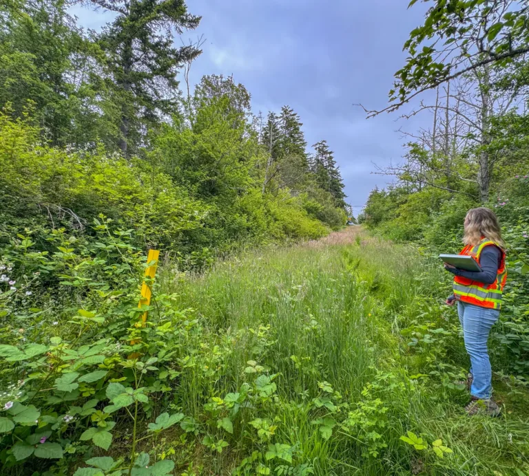 Person in a high-visibility vest holding a clipboard stands on an overgrown grassy corridor through dense forest, with a yellow marker post at left under a cloudy sky.