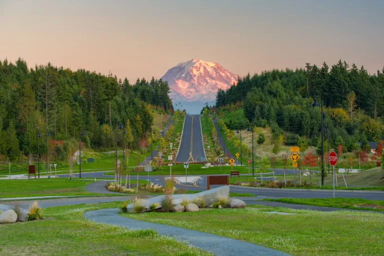 A straight, tree-lined road climbs from a landscaped roundabout toward a snow-capped mountain glowing in soft sunset light.
