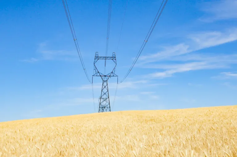 High-voltage transmission tower and power lines stretch over a golden wheat field under a clear blue sky.
