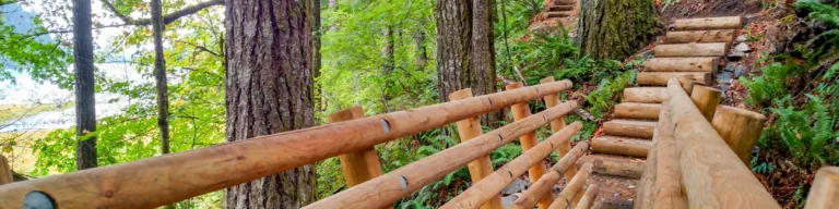 Narrow forest hiking trail with wooden railings and log steps ascending a hillside among tall trees and lush ferns.