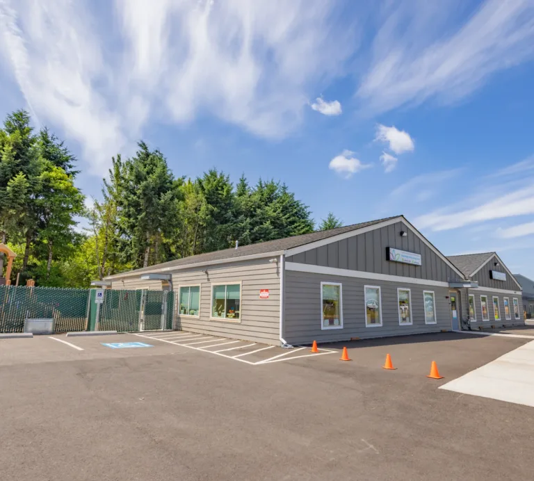 Single-story gray building with multiple gables and large windows, a fenced playground on the left, accessible parking spaces and orange cones in the front lot, bordered by tall evergreens under a bright blue sky.