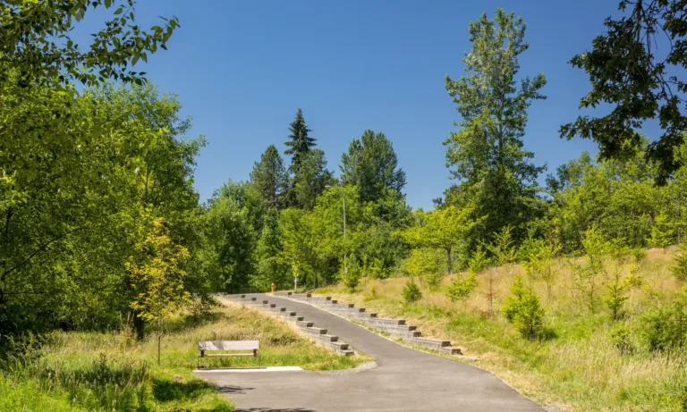 Sunny park scene with a paved walking path curving uphill past a bench and stone steps, surrounded by lush green trees and grass under a clear blue sky.
