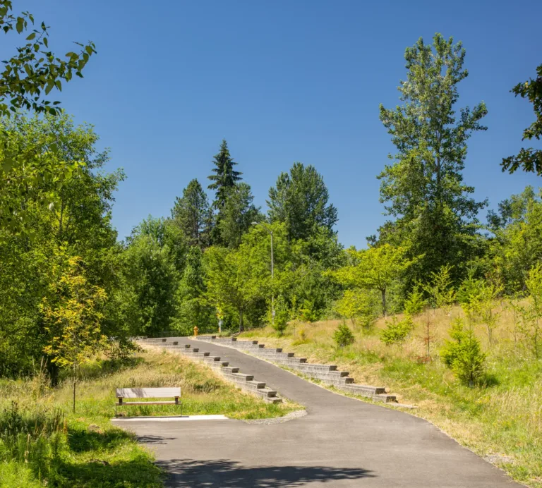 Sunny park scene with a paved walking path curving uphill past a bench and stone steps, surrounded by lush green trees and grass under a clear blue sky.