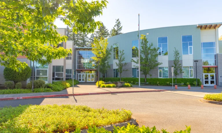 Modern two-story school building with a glass-fronted entrance, large windows, and landscaped trees and shrubs, viewed from an empty drive on a sunny day.