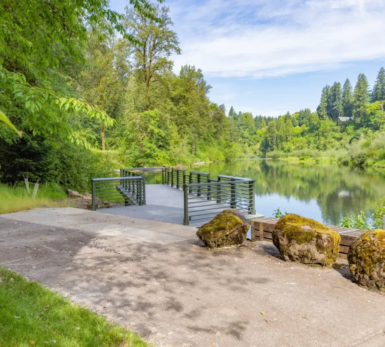 Metal-railed viewing platform extending over a calm river in a lush forest, with moss-covered boulders and benches along a paved path under a blue sky.