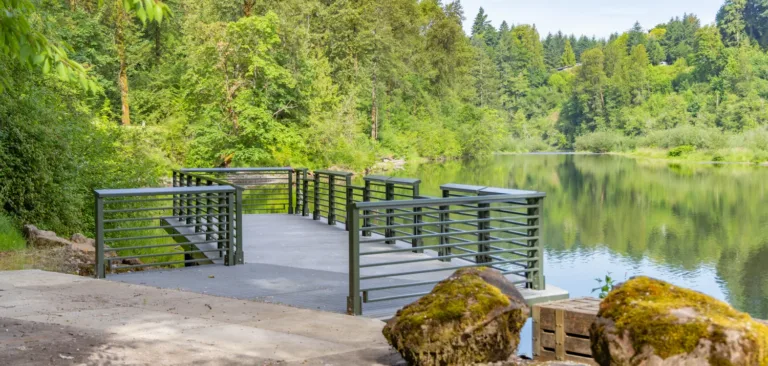 Metal-railed viewing platform juts out over a calm, tree-lined river, with mossy boulders in the foreground on a sunny day.