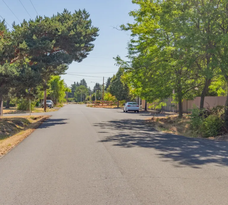 Quiet residential street lined with large trees and wooden fences, with a few parked cars and roadwork barricades in the distance on a sunny day.