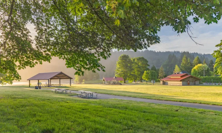 Sunlit park with picnic shelters, picnic tables, and a paved path under leafy trees, with morning mist and forested hills in the background.