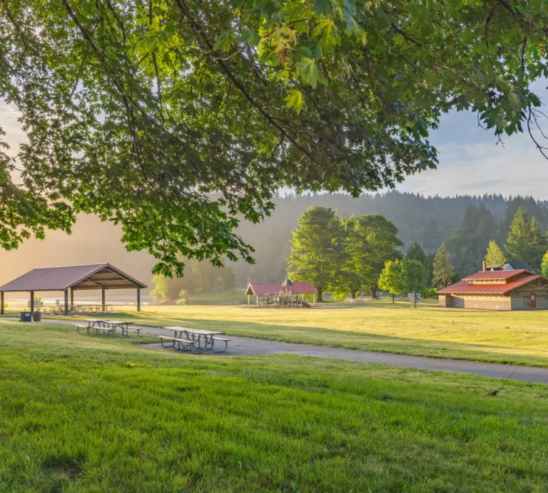 Sunlit park with picnic shelters, picnic tables, and a paved path under leafy trees, with morning mist and forested hills in the background.