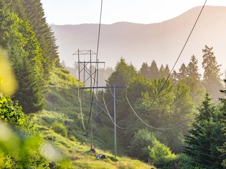 Transmission lines on tall utility towers stretch through a lush, evergreen hillside in soft morning light.