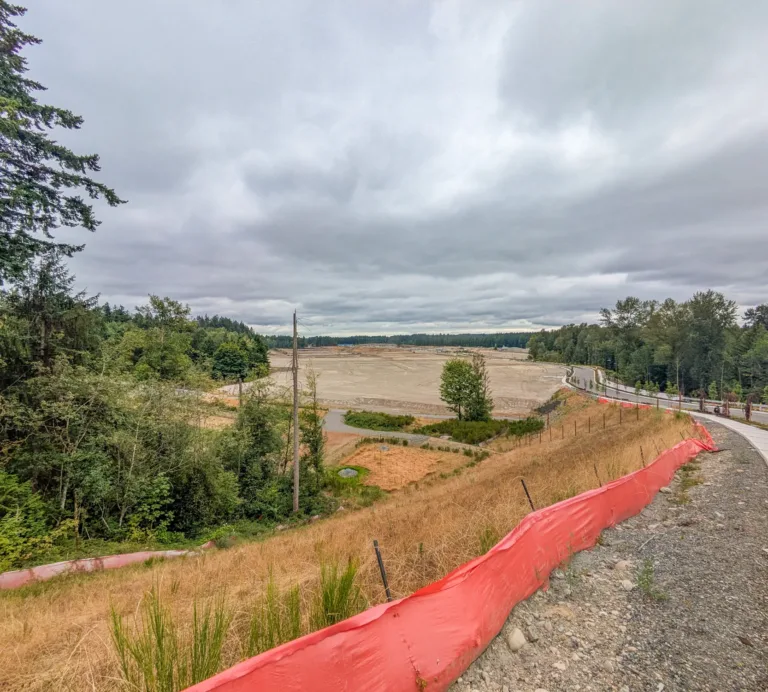 Overcast day at a large cleared construction site bordered by forest, with a red silt fence and a curving sidewalk along the slope.
