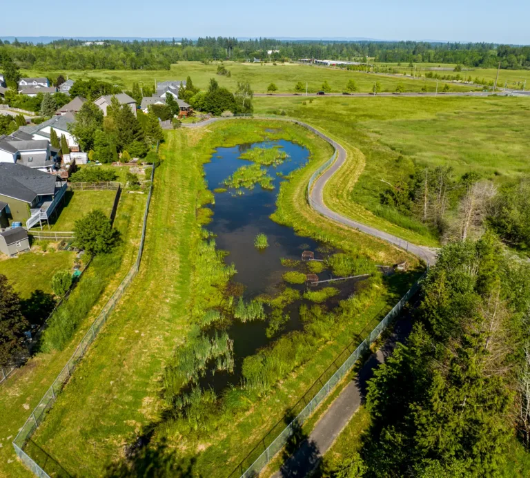 Aerial view of a suburban neighborhood beside a long, narrow stormwater pond with reeds, fenced banks, and a curving paved path, bordered by open green fields on a sunny day.