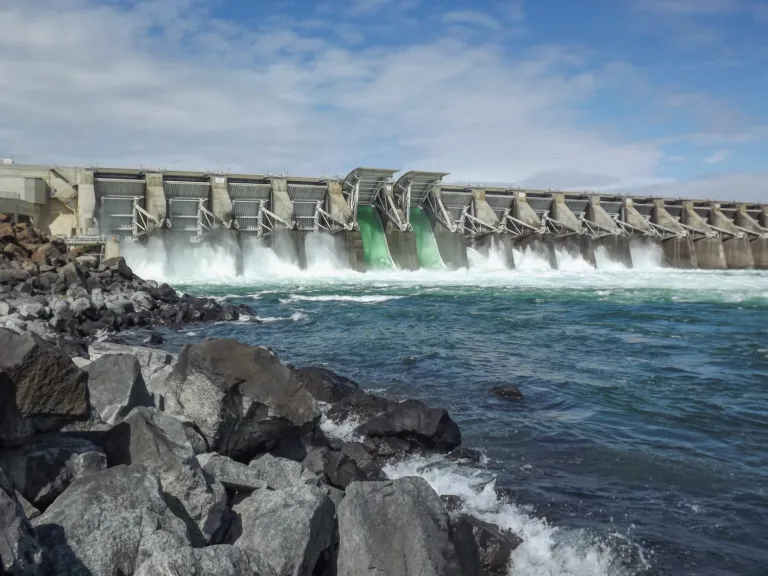 Wide view of a concrete hydroelectric dam with multiple spillway gates releasing torrents of water into a churning river, seen from a rocky shoreline under a partly cloudy sky.