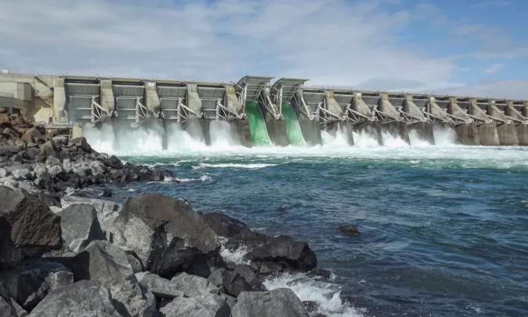 Large concrete dam with multiple open spillway gates releasing foaming water into a blue river, with a rocky shoreline in the foreground under a partly cloudy sky.