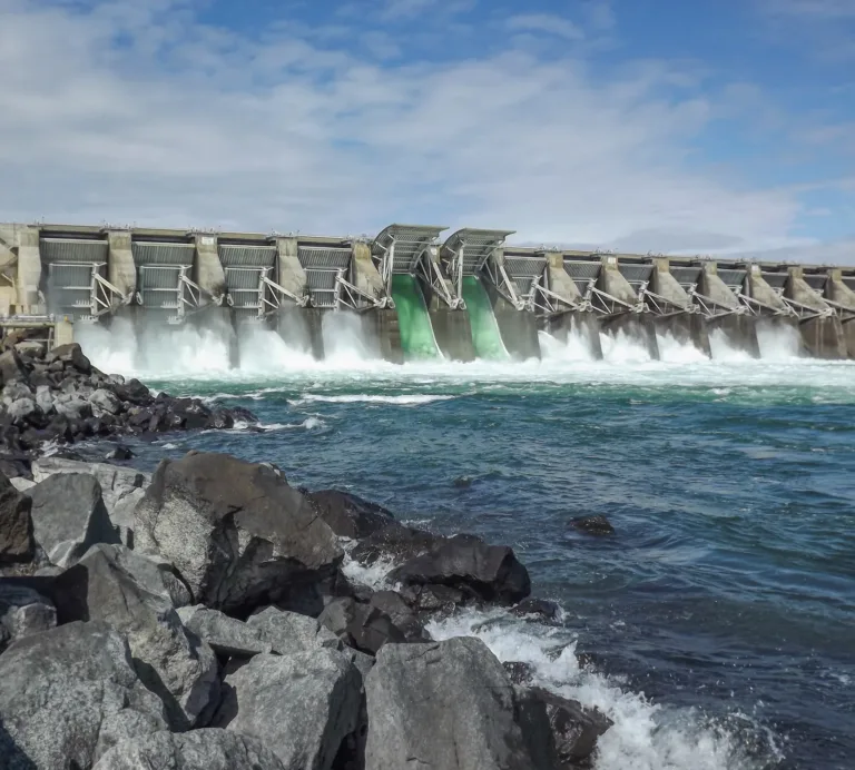 Large concrete dam with multiple open spillway gates releasing foaming water into a blue river, with a rocky shoreline in the foreground under a partly cloudy sky.