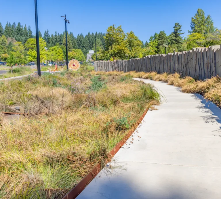 Curving concrete walkway bordered by native grasses and a tall, jagged wooden fence, with trees, a road, and a clear blue sky in the background.